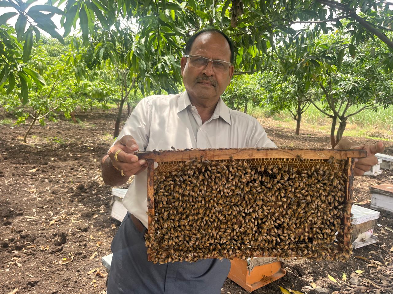 Pure Natural Honey - Beekeeper with honeycomb