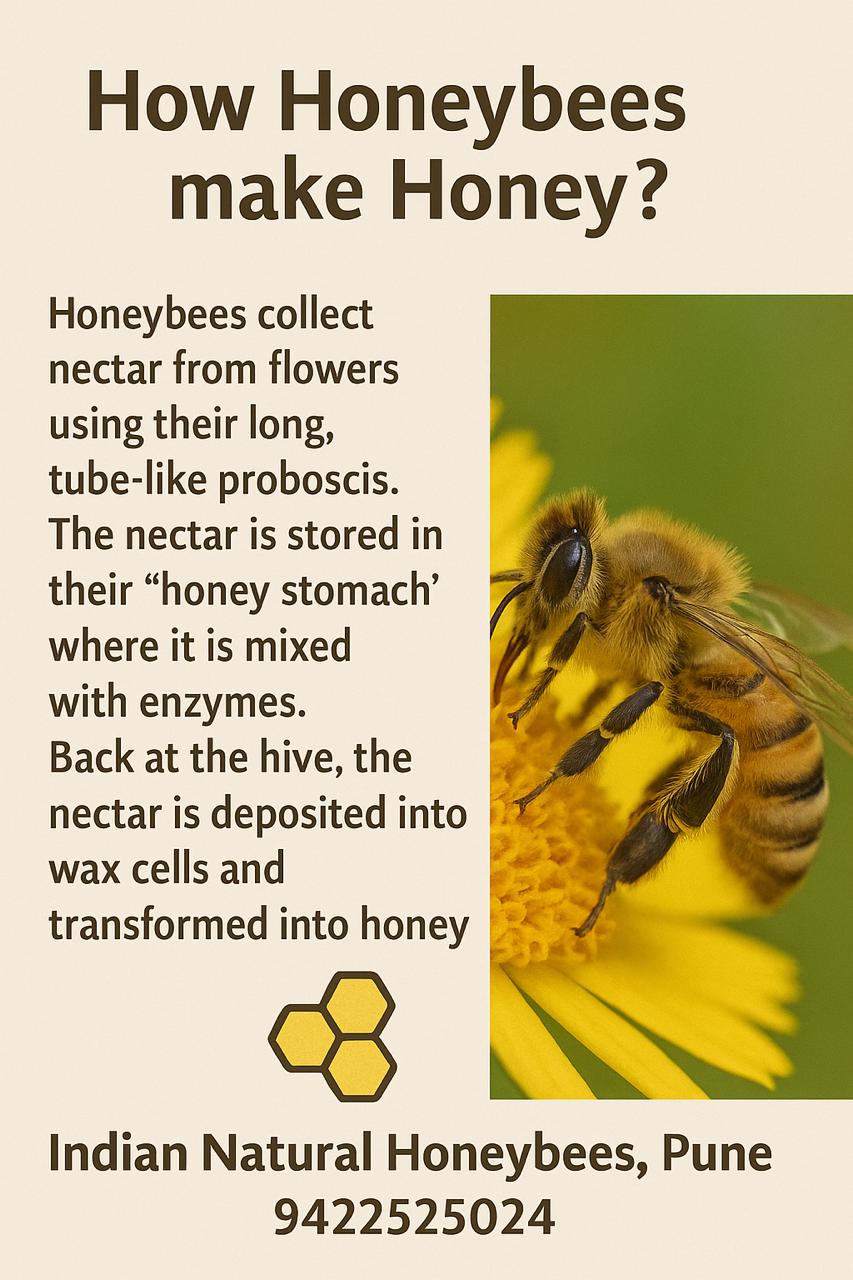 Specialized Workshops