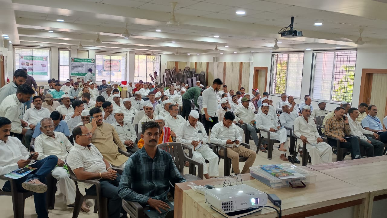 Recent Honey Harvest